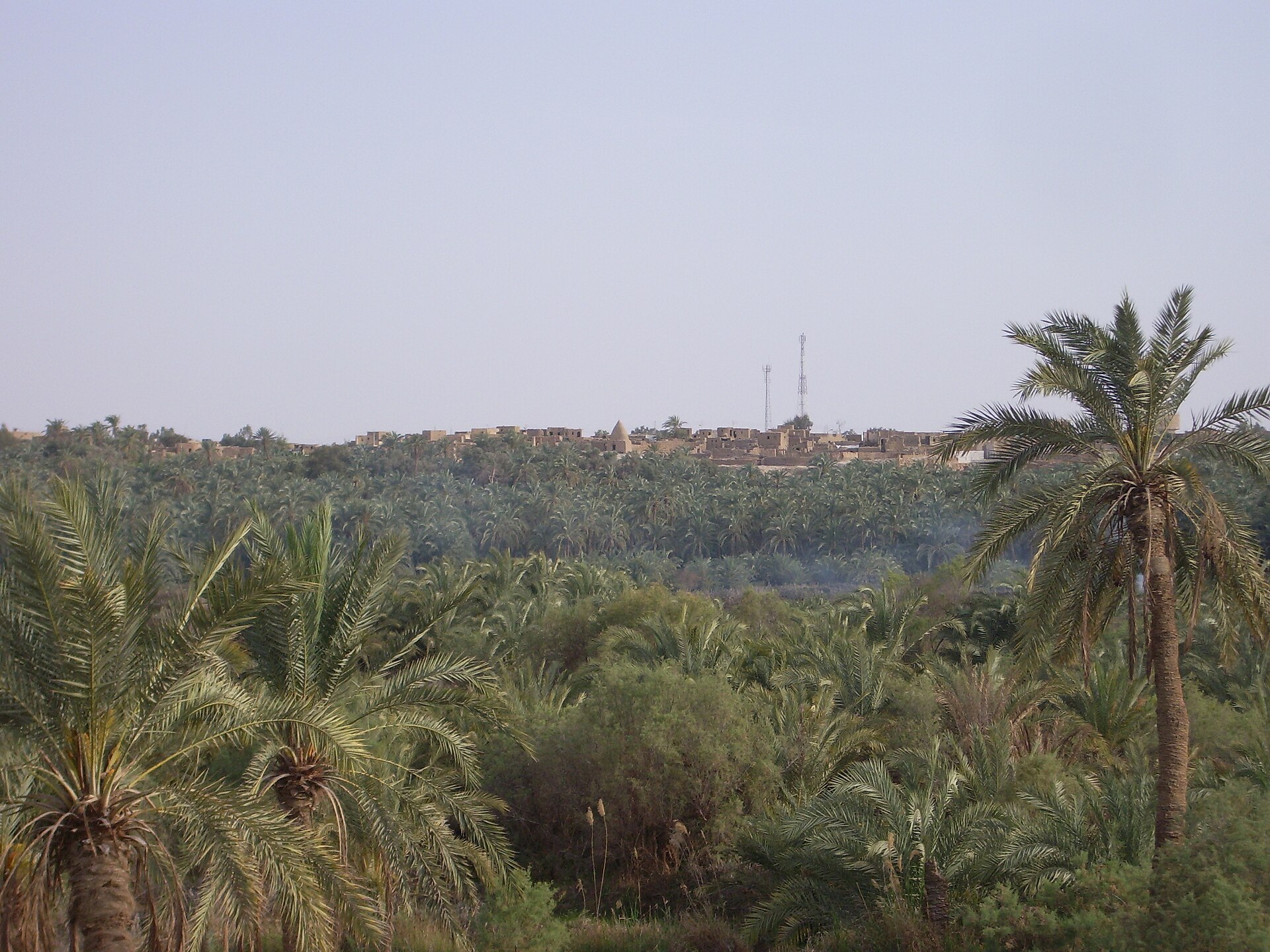 Private Desert Super Safari Excursions from Marsa Alam — photo 4