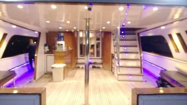 Private snorkeling boat Trip to dolphin house from Sahel Hashesh โ photo 3