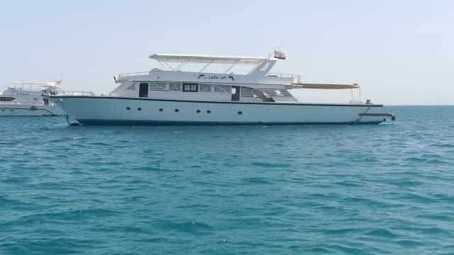 Private snorkeling boat Trip to dolphin house from Sahel Hashesh โ photo 5