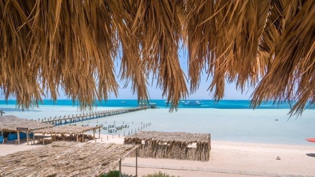 Private speedboat trip to dolphin house From El Gouna — photo 3