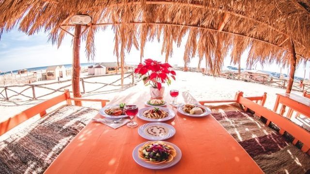 Private speedboat trip to Mahmya island from Sahel Hashesh โ photo 8