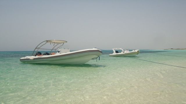 Private speedboat trip to the dolphin house from Hurghada — photo 3