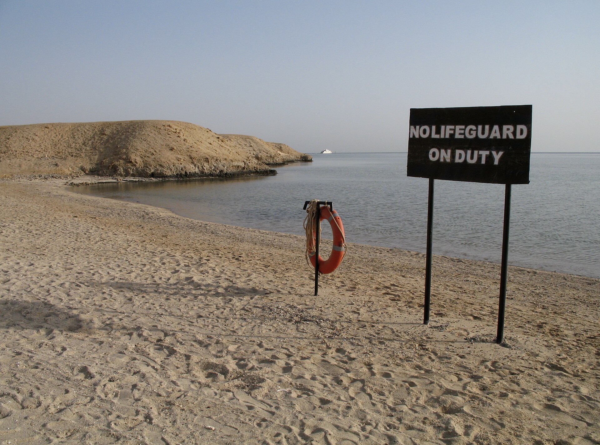 Transfer image 6