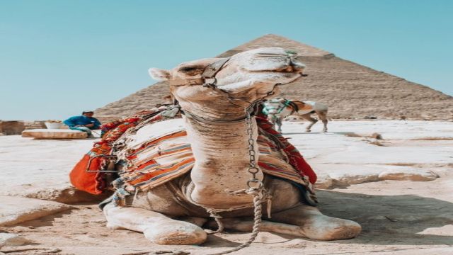 Private Trip to Pyramids from Hurghada by Private Vehicle — photo 6