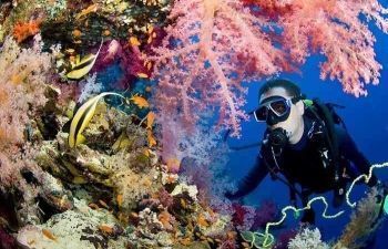 Scuba Diving Excursions from Sahl Hasheesh — photo 2