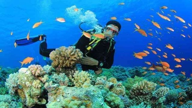 Scuba Diving Excursions from Sahl Hasheesh — photo 6