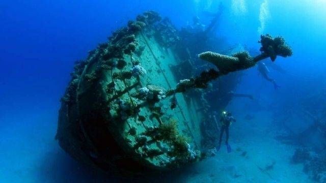 Scuba diving trip from Makadi