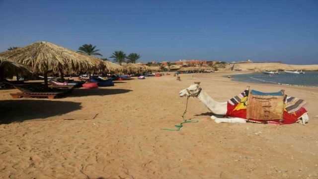 sharm el naga bay snorkeling trip from El Gouna Egypt Red Sea — photo 3
