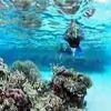 Snorkeling Trip at Hamata Islands From Portghalib โ photo 3