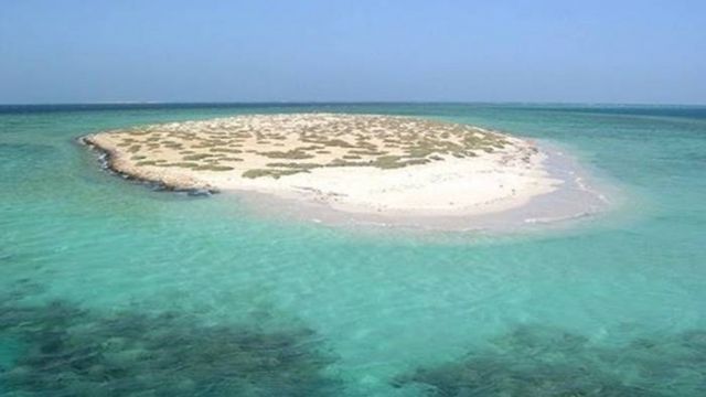 Snorkeling Trip at Hamata Islands From Portghalib โ photo 4