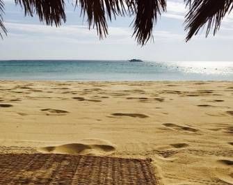 Snorkeling Trip At Mahmya Island from El Gouna