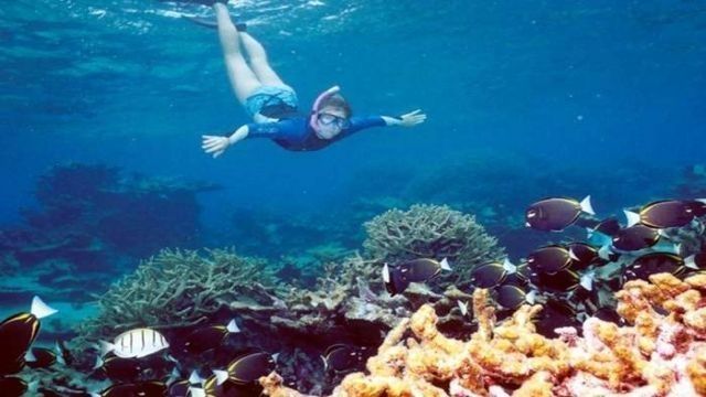 Snorkeling Trip At Sataya dolphin Reef from El Quseir — photo 9