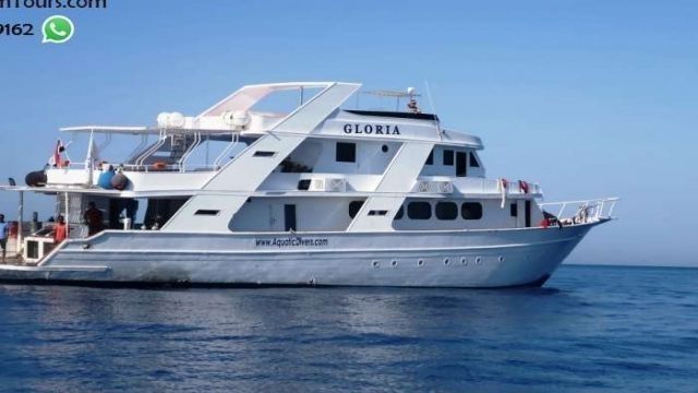 Snorkeling Trip At Sataya dolphin Reef from El Quseir — photo 11