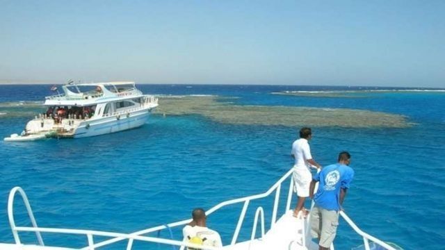 Snorkeling Trip At Sataya dolphin Reef from El Quseir — photo 12