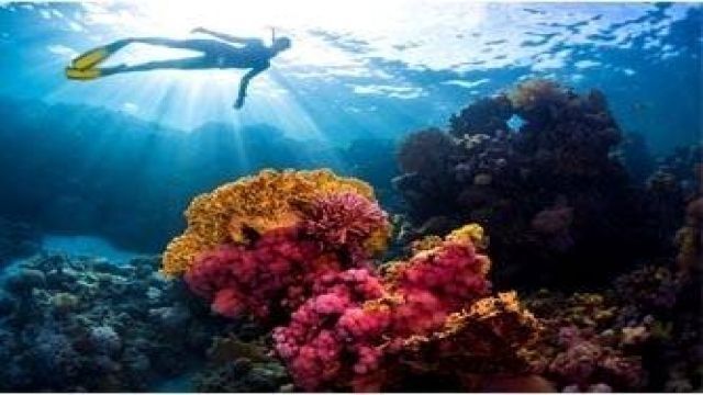 Snorkeling trip to Hamata Islands From El Quseir — photo 5