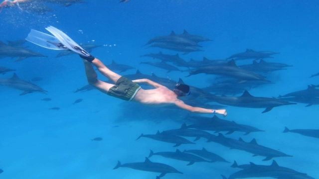 Snorkeling trip to the dolphin house from Hurghada — photo 3