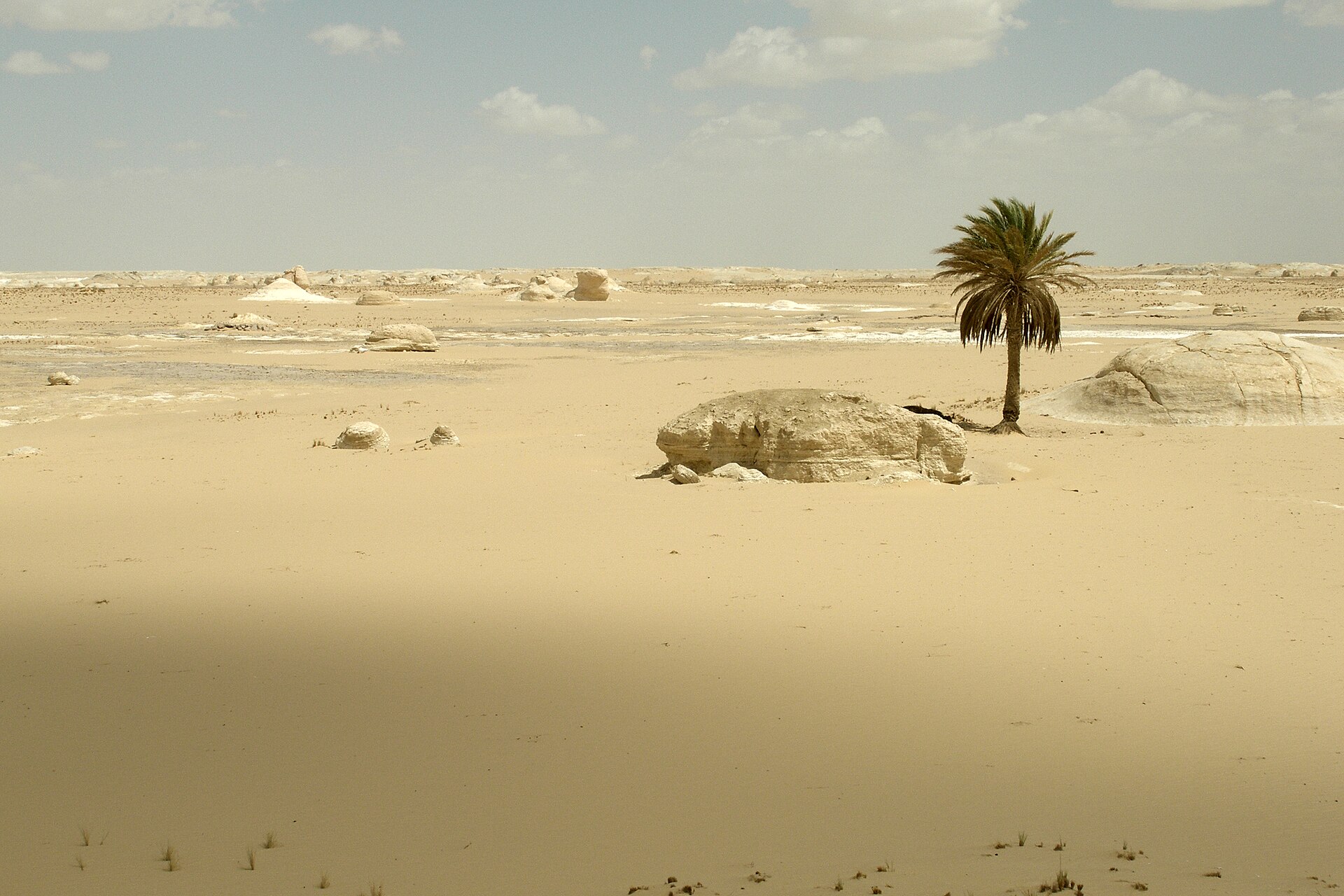 Super Desert safari by Quad from Hurghada