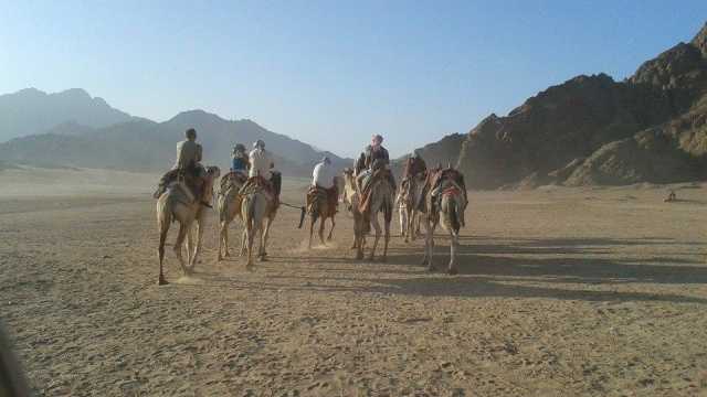 Super Safari Trip from Sahel Hashesh โ photo 10