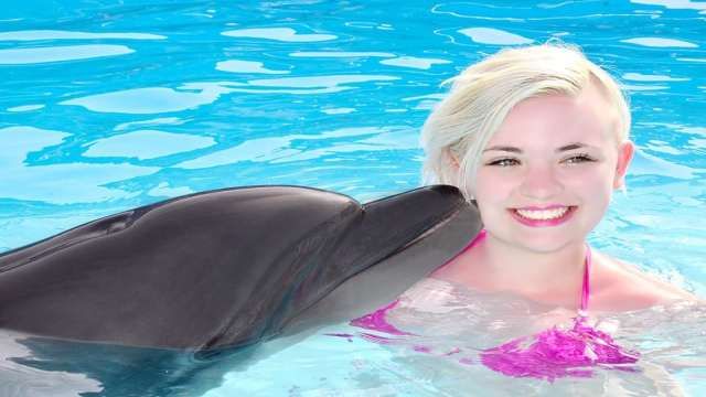 Swim with dolphins in Sharm el Sheikh — photo 11