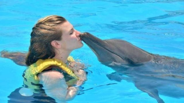 Swimming with dolphins Excursion from Sahel Hashesh โ photo 5