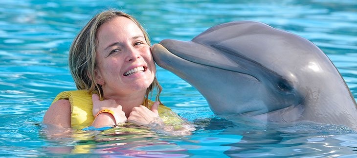 Swimming with dolphins Excursion from Sahel Hashesh โ photo 7
