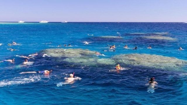 Tiran island snorkeling boat trip from Sharm el Sheikh — photo 5