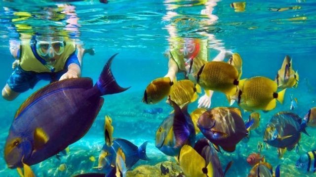 Utopia island Snorkeling Tours in Hurghada — photo 2