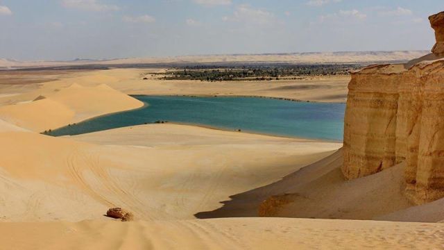 Wadi Al Hitan day trip from Cairo — photo 11