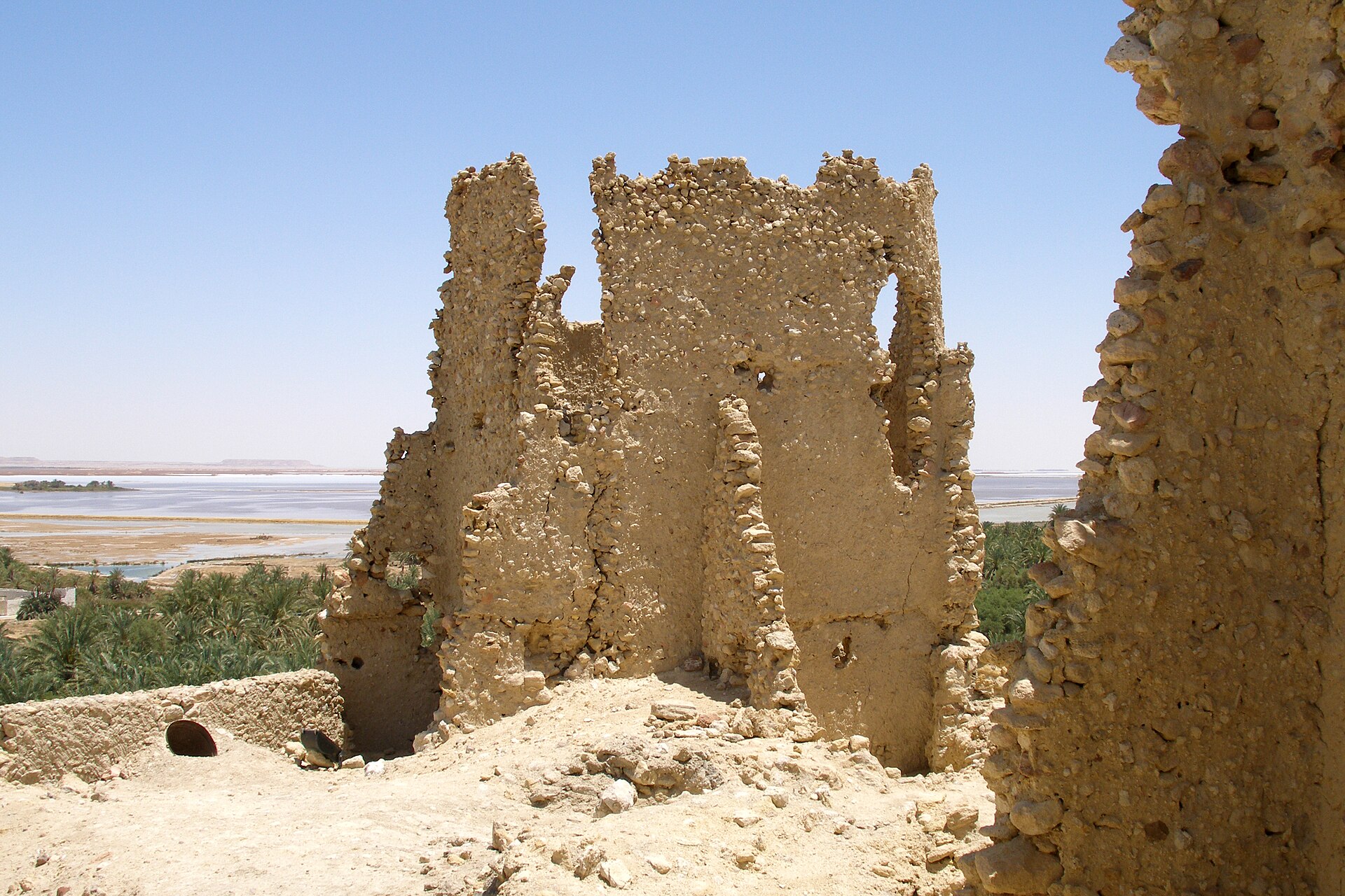 Wadi El Gemal Excursions in Marsa Alam — photo 4