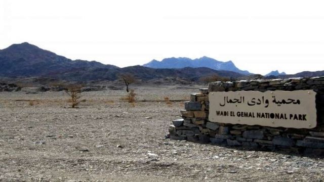 Wadi El Gemal Excursions in Portghalib — photo 2