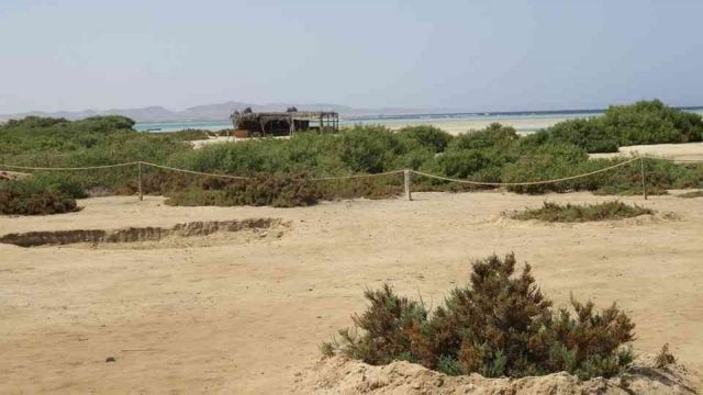 Wadi El Gemal Excursions in Portghalib — photo 4