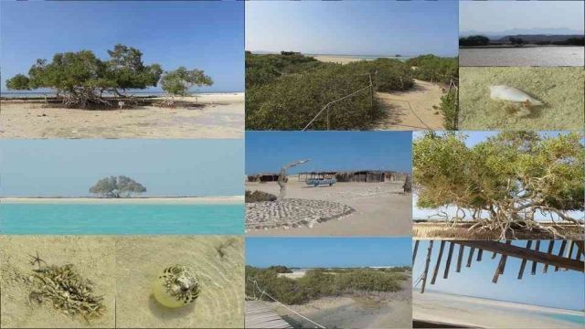 Wadi El Gemal Excursions in Portghalib — photo 5