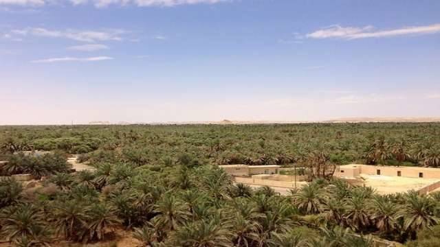White desert overnight tour from Cairo — photo 5